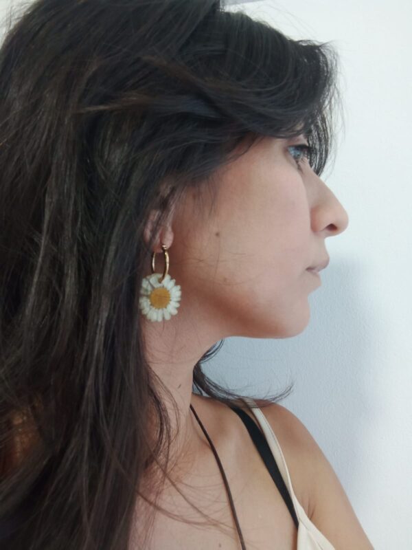Flores Margaritas - Imagen 2